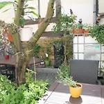 Goldener Stern Hotel