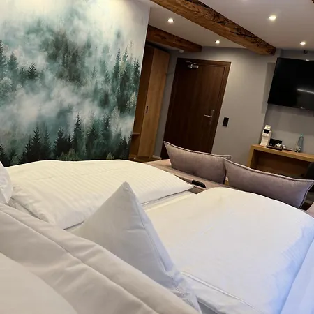 Hotel Goldener Stern 2*