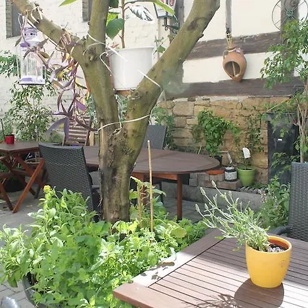 Goldener Stern جوسلار