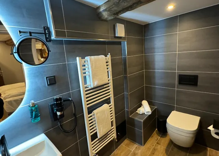 호텔 Goldener Stern 2*