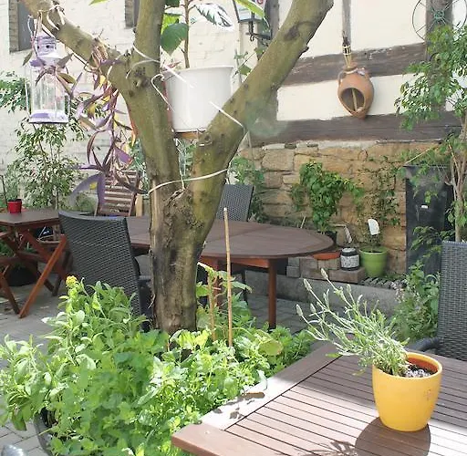 Goldener Stern 고슬라르